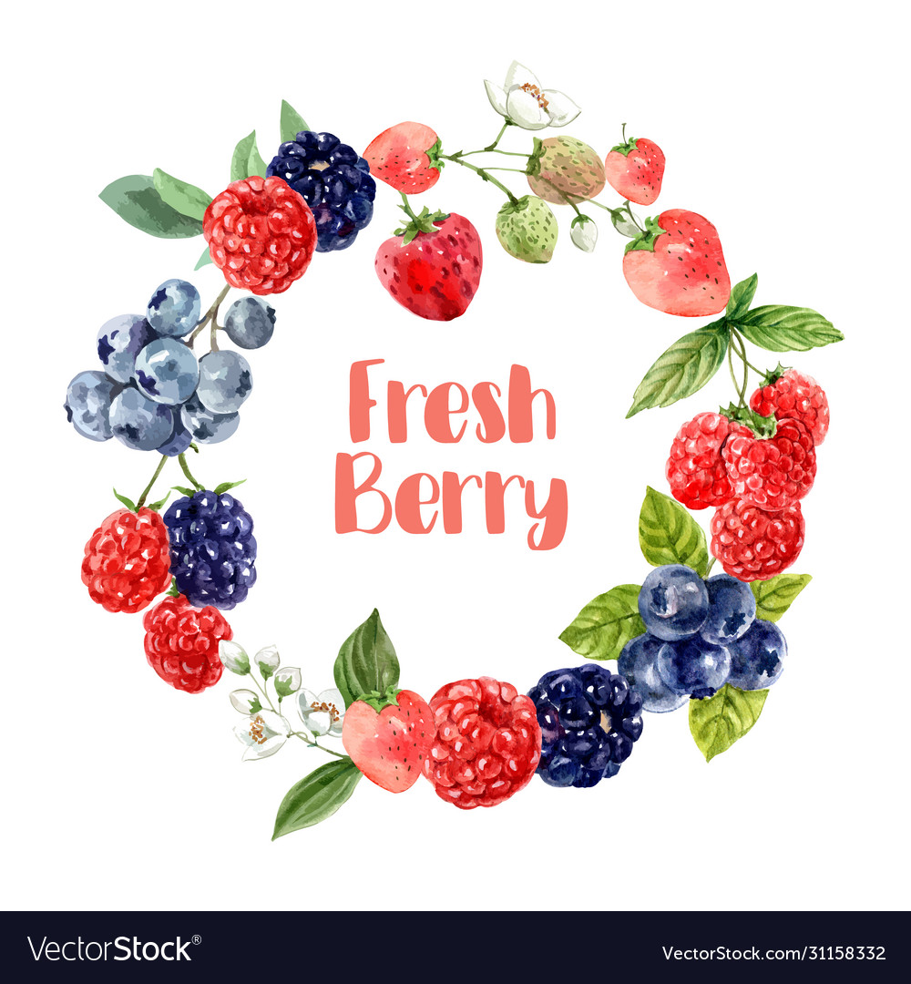 Wreath design with various mixberry fruits Vector Image