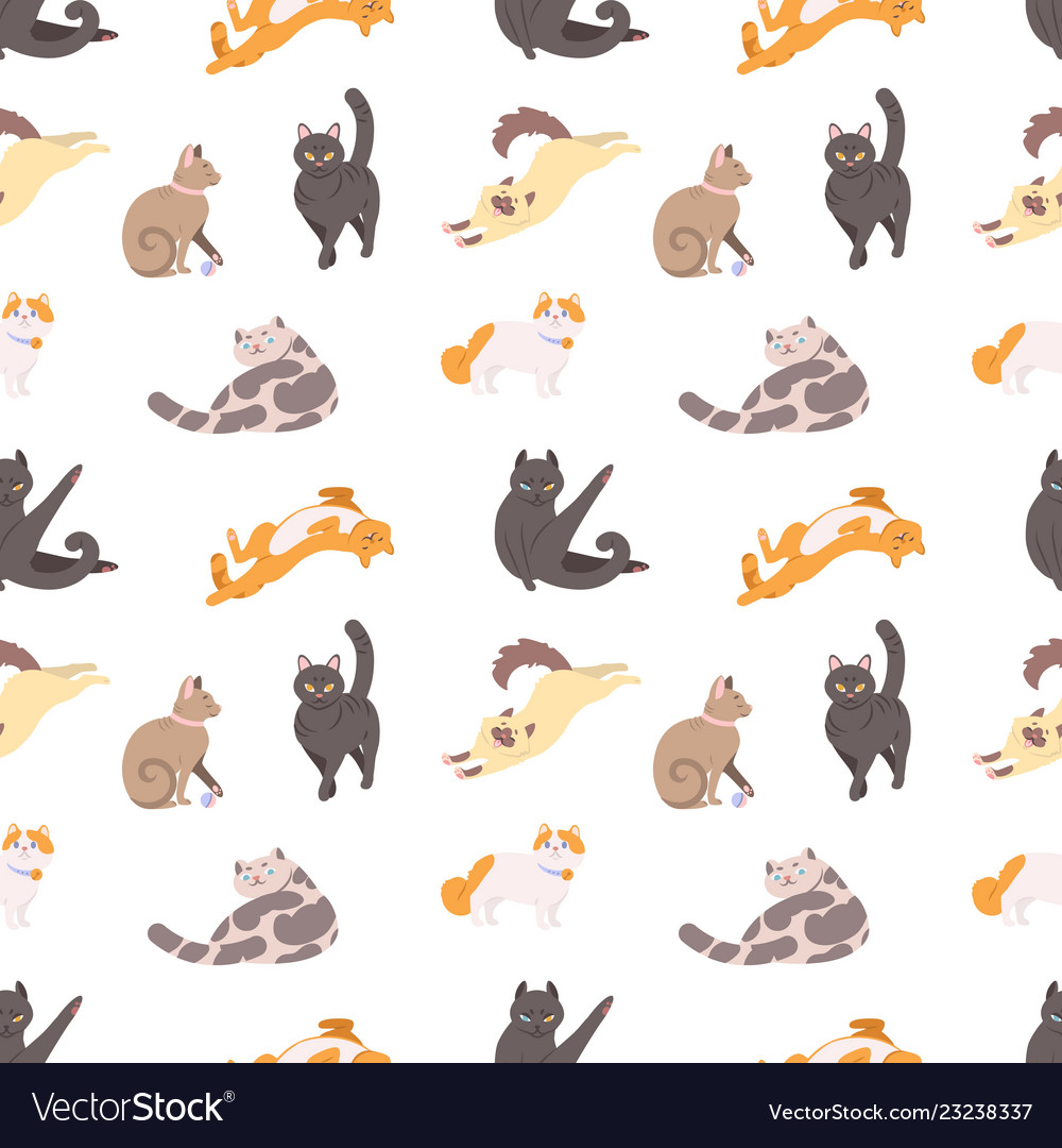 Cute Sleeping Cats Pattern