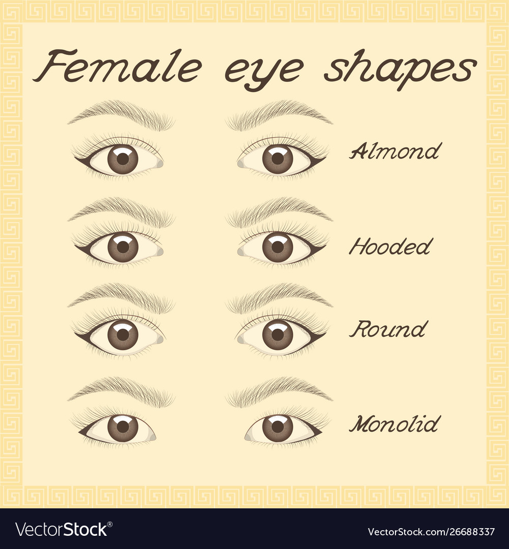 all types of eye shapes