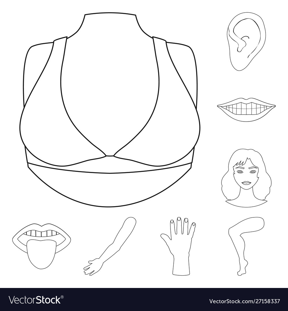 Isolated object body and part sign set vector image Isolated object body and part sign set