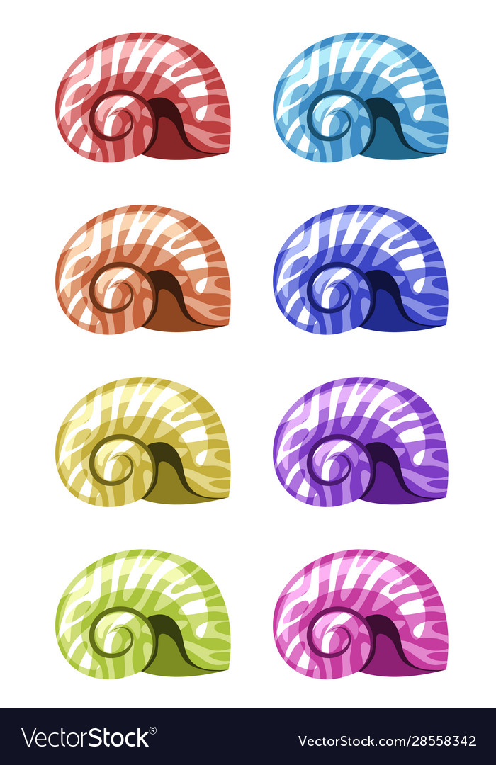 Set seashells in different colors