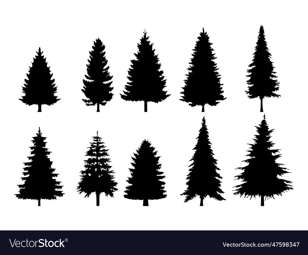 Set of pine trees silhouette isolated Royalty Free Vector