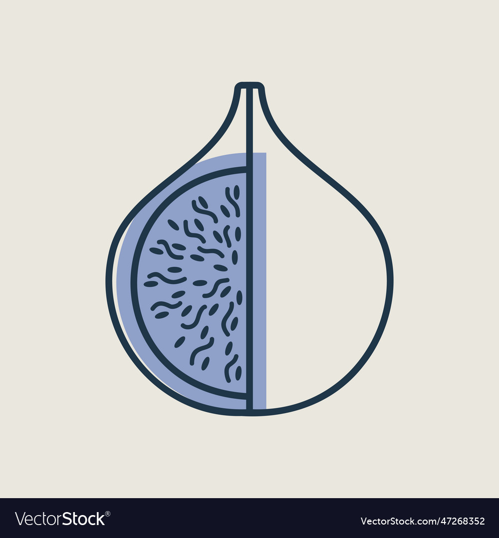 Fig tropical fruit icon