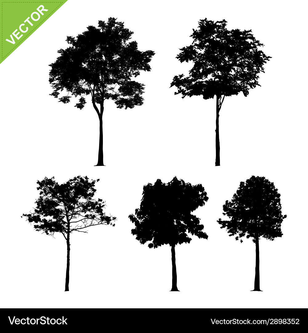 Tree silhouettes Royalty Free Vector Image - VectorStock