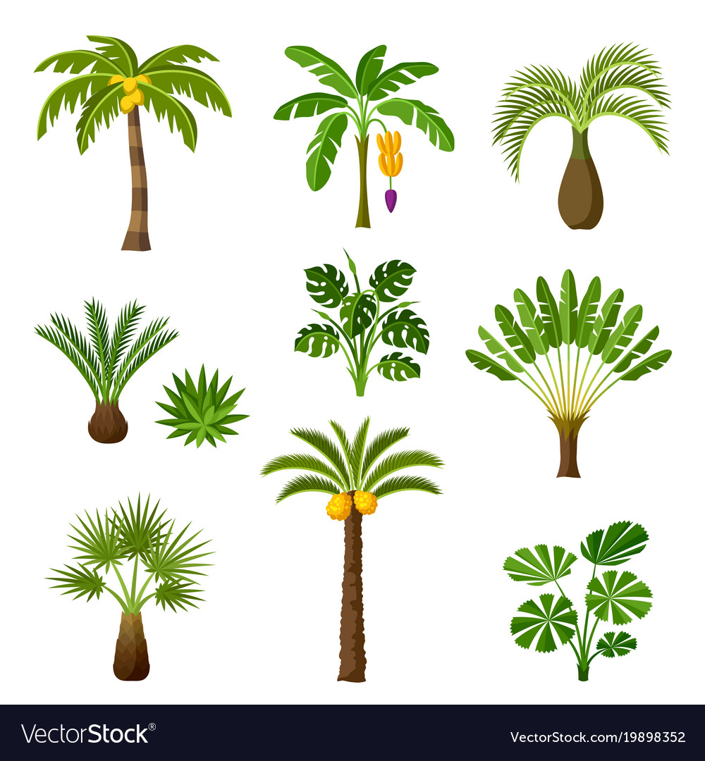 tropical palm trees set