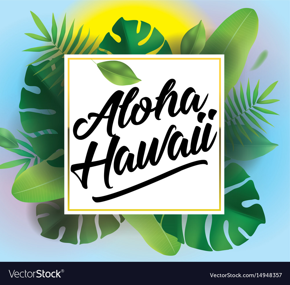 Aloha background for posters and banners Vector Image