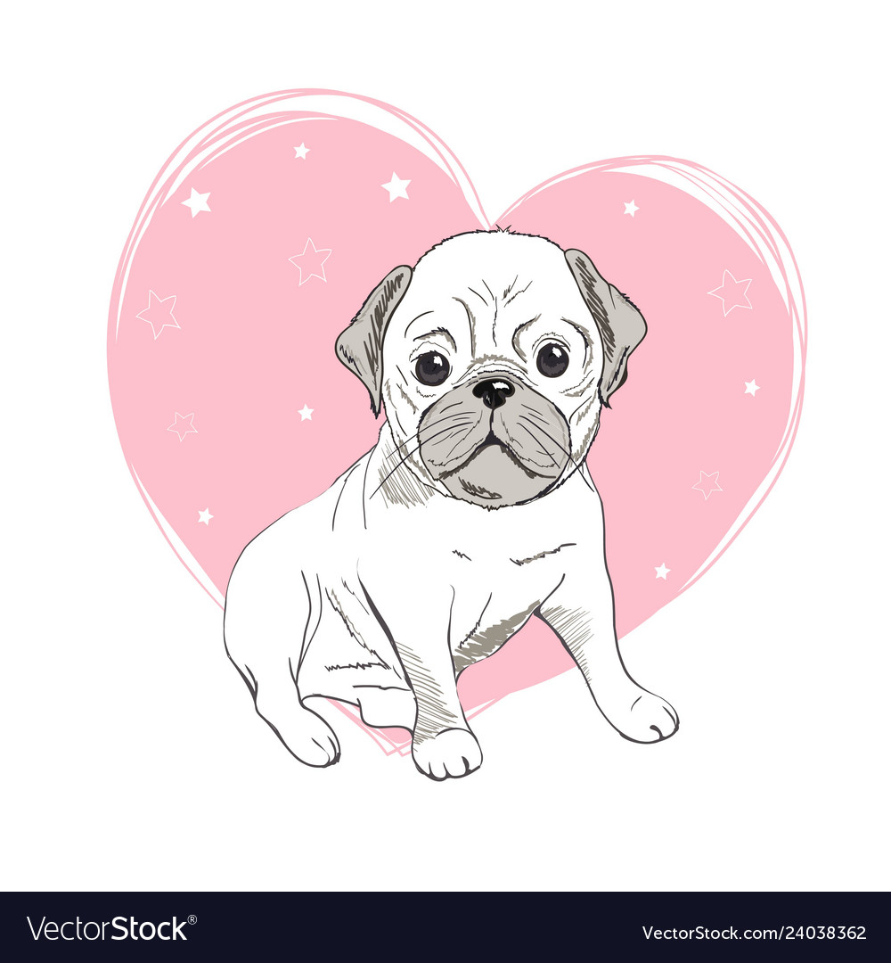 Pug dog cartoon cute friendly fat chubby fawn Vector Image Pug dog cartoon cute friendly fat chubby fawn Vector Image