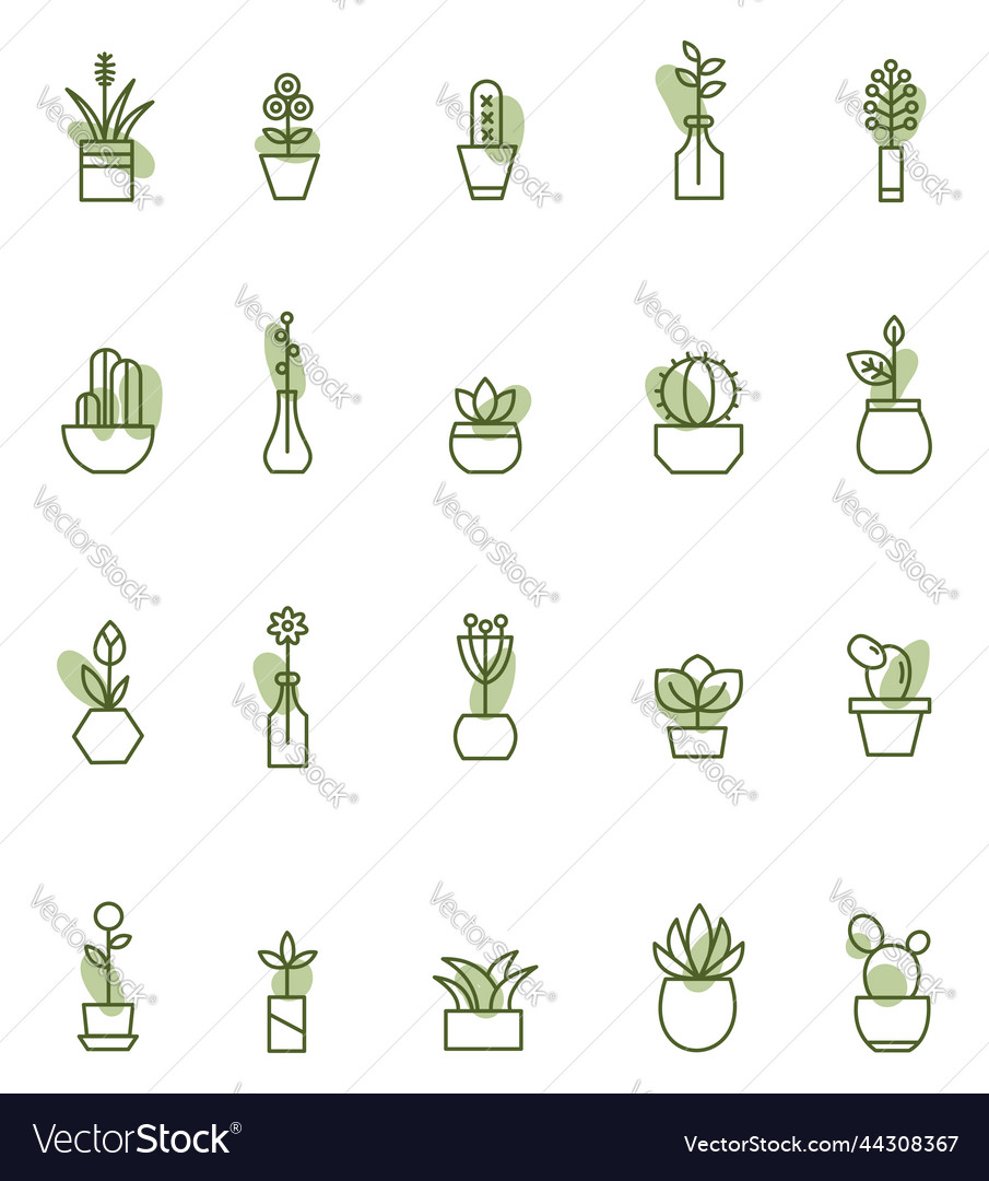 House plants on a white background