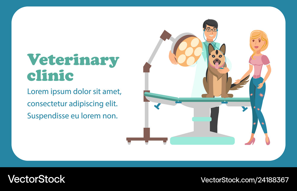 Veterinary Assistance Banner Color Template Vector Image