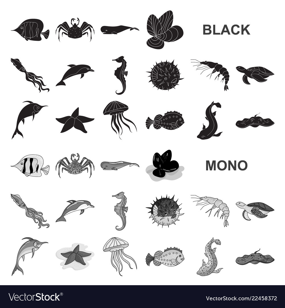 A variety of marine animals black icons in set