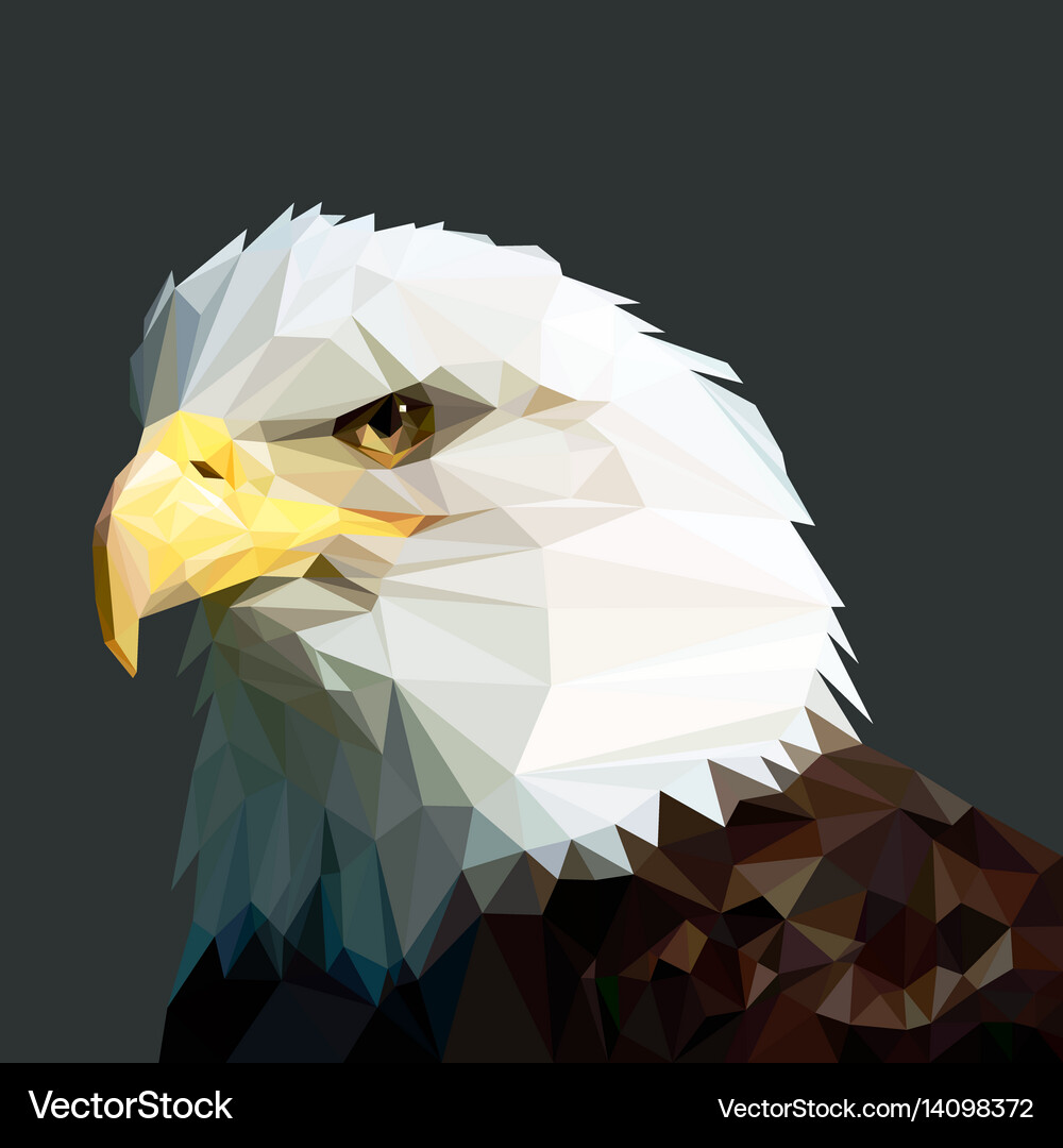 Bald Eagle Head - Low Poly Royalty Free Vector Image