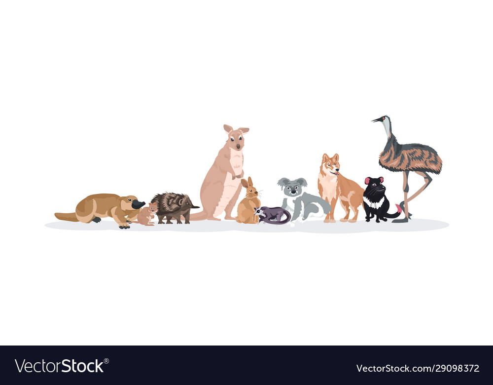 Cartoon endangered wild australian animals Vector Image Cartoon endangered wild australian animals Vector Image