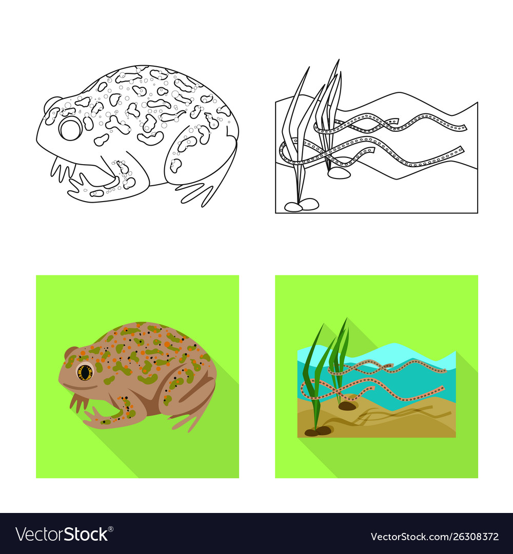 Isolated object wildlife and bog icon set