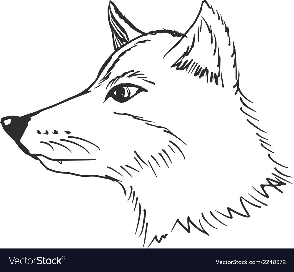 Wolf Royalty Free Vector Image - VectorStock