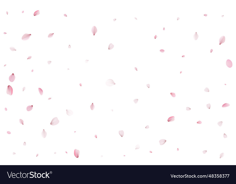 Realistic cherry petals vector image Realistic cherry petals