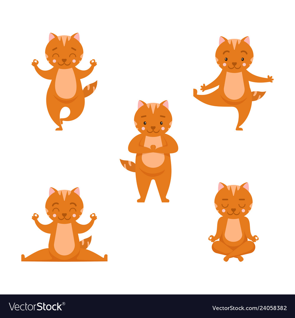 Gymnastics and Health. Set Cartoon Funny Cats Icons Doing Yoga