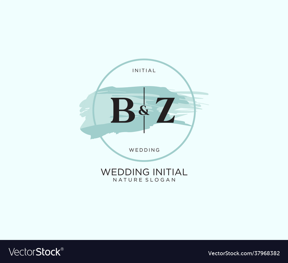 Initial bz letter beauty logo handwriting