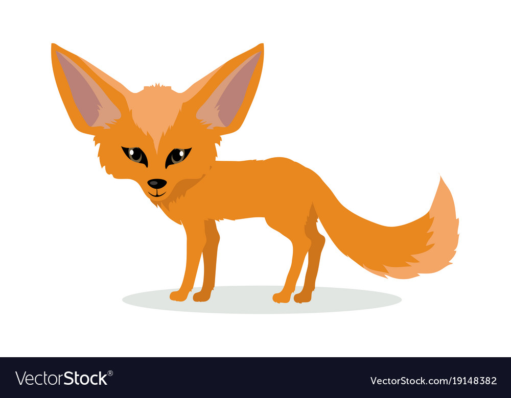 Red Fennec Fox Cartoon