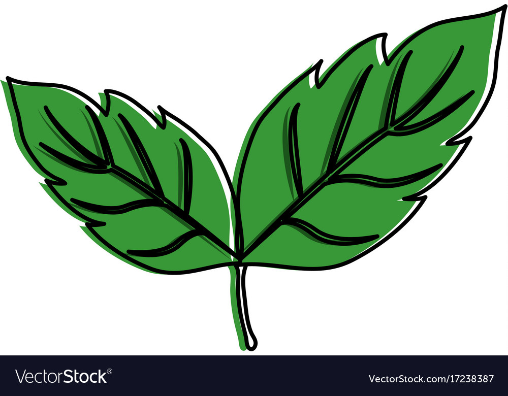 Leaves with stem icon image