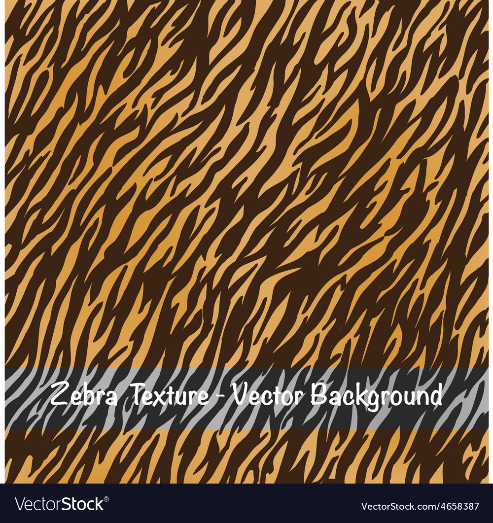 Zebra texture background