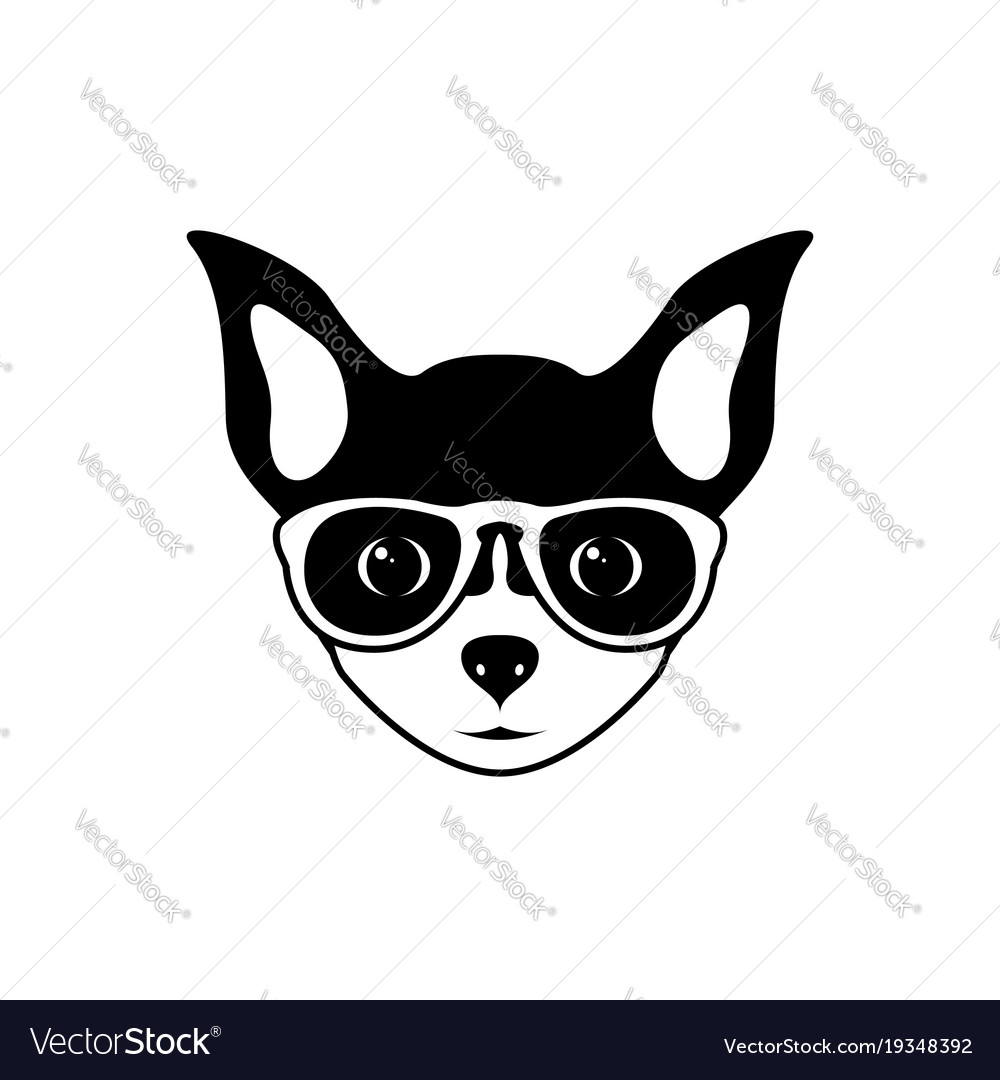 Chihuahua Dog with Glasses