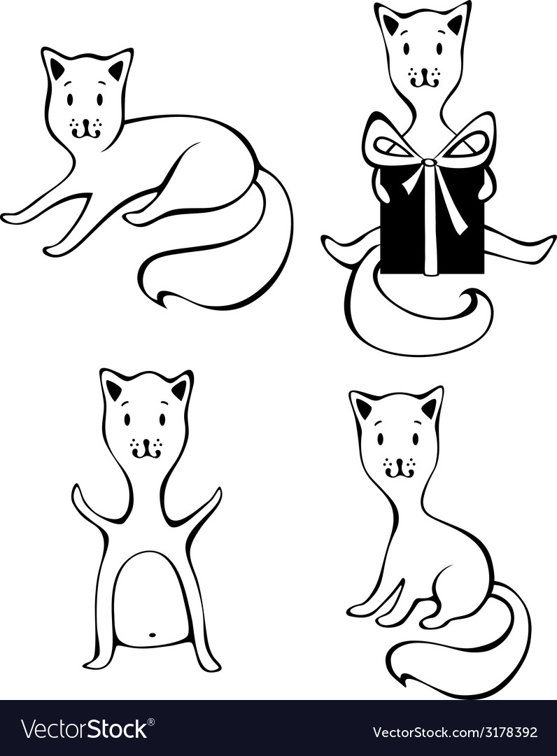 Vier Katzen isoliert auf weißem Hintergrund