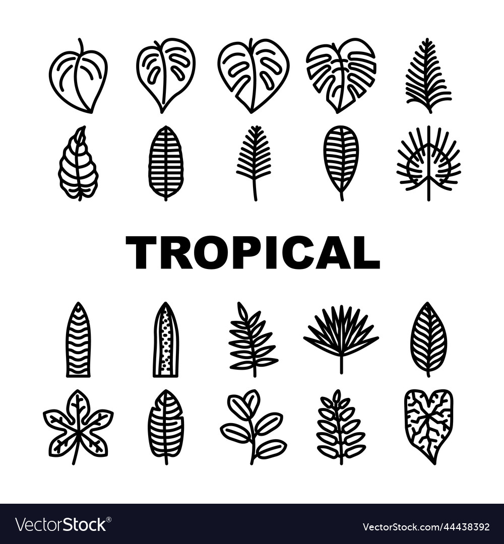 Leaf tropical plant palm jungle icons set