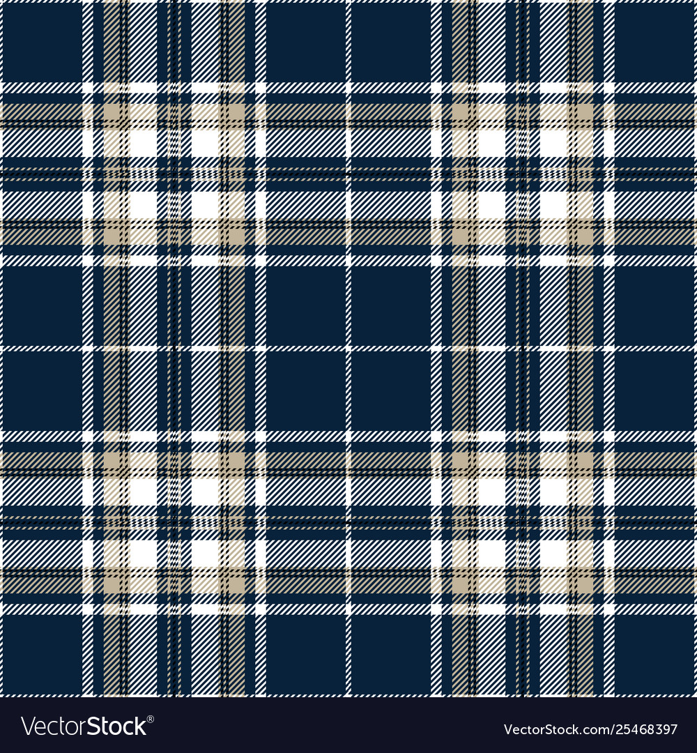 Blue white tartan plaid seamless pattern Vector Image