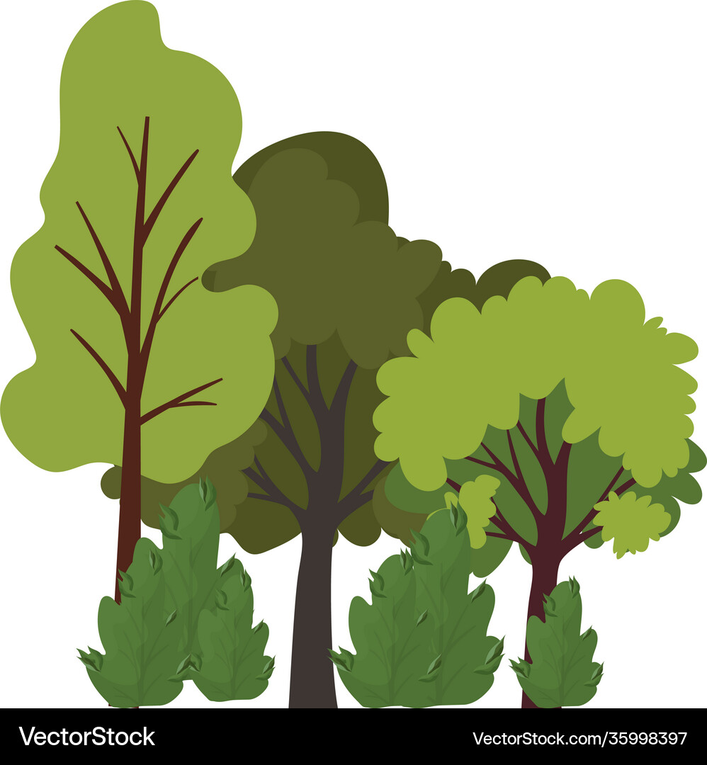 Set trees over a white background Royalty Free Vector Image