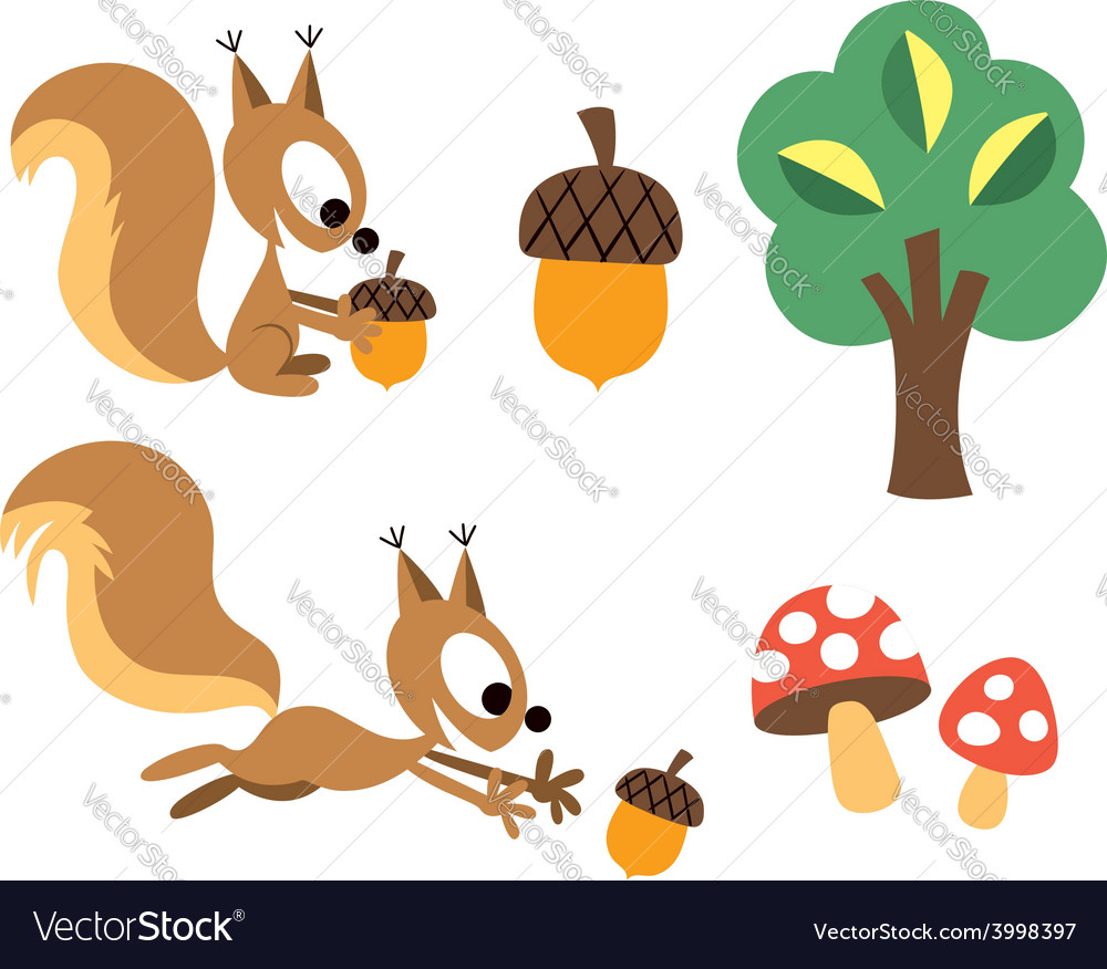 Squirrel acorn design elements