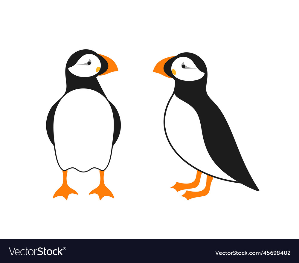 Atlantic puffin Royalty Free Vector Image - VectorStock