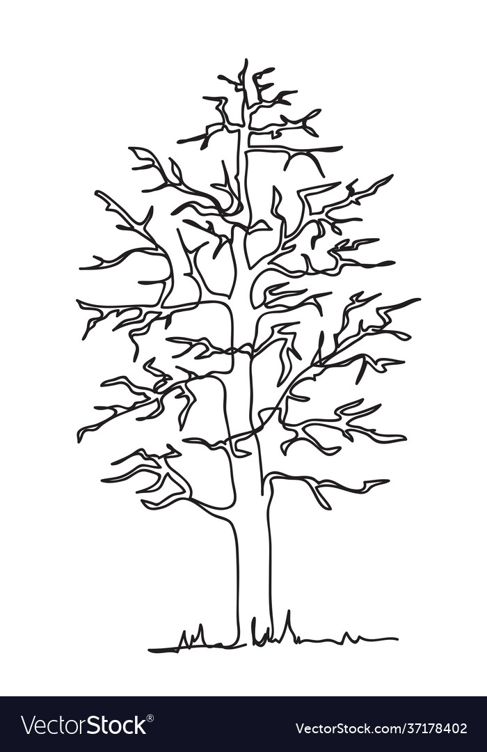 Tree continuous line art