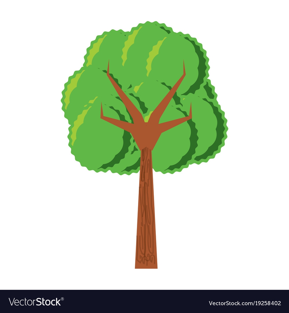 Tree icon image