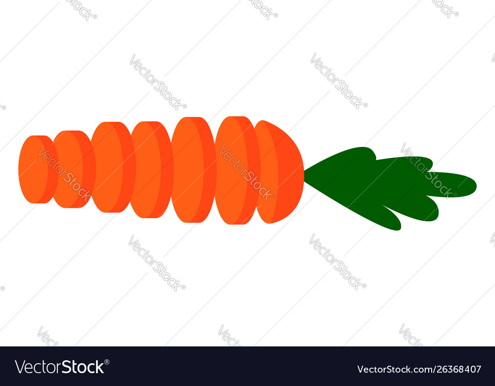 Carrot cut in slices on white background Vector Image