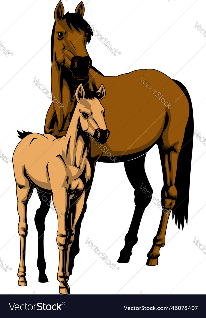 Realistic cartoon mare and foal horse vector image Realistic cartoon mare and foal horse