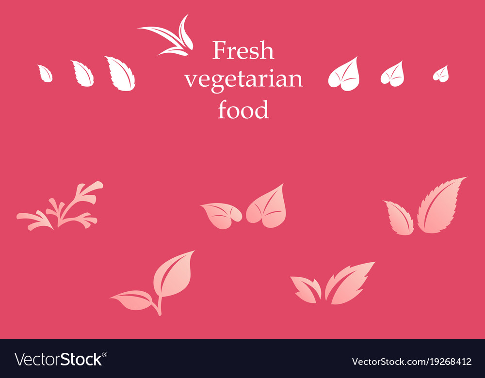 Leaves icon set isolated on background various