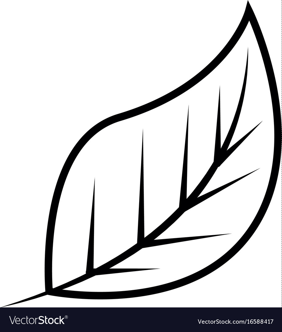 Leaf Icon Image Royalty Free Vector Image - Vectorstock