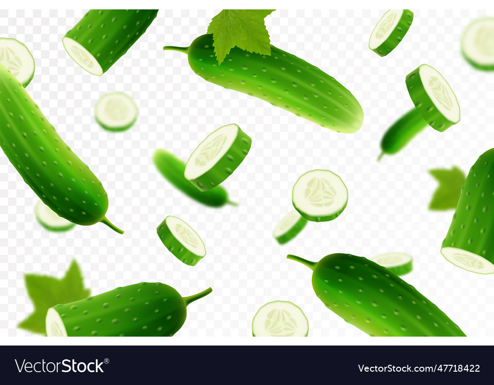 Flying cucumber falling cucumbers whole Royalty Free Vector