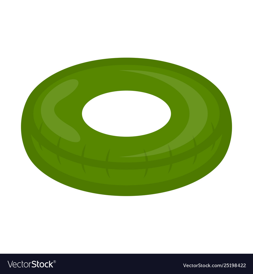 Isolated green pool float toy image