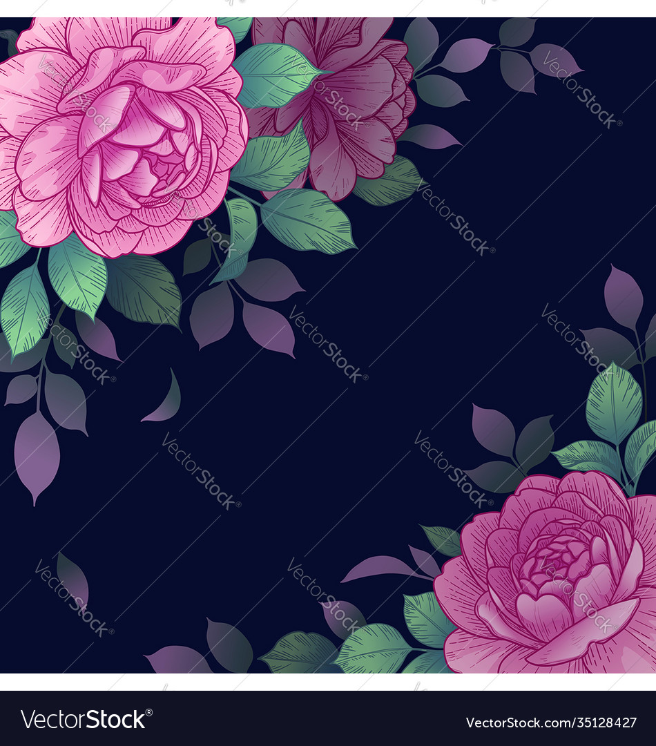 Dark background with pink roses arrangement Vector Image