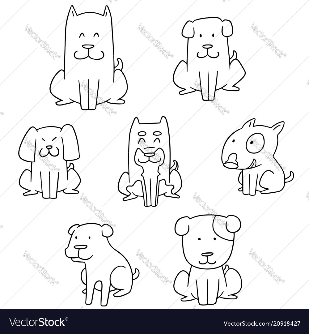 Set of dog