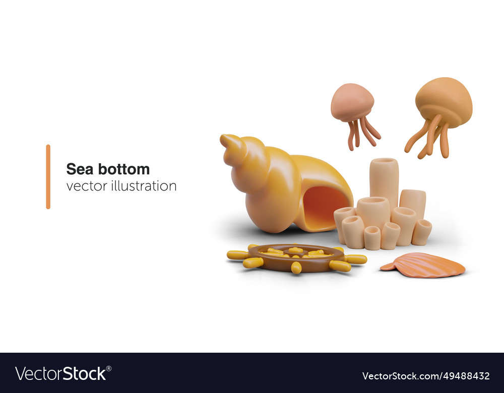 Concept of seabed 3d shells sponge vector image Concept of seabed 3d shells sponge