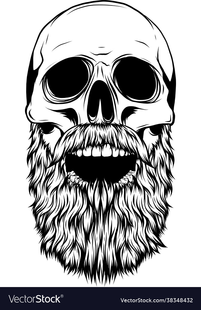 Silhouette human skull with beard Royalty Free Vector Image