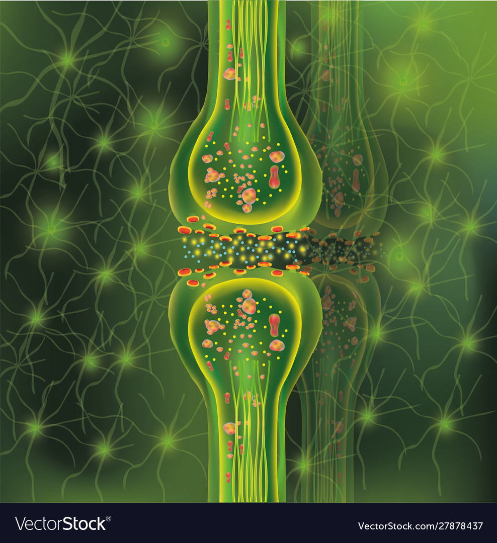 3d synapse and neuron cells transmission signal Vector Image