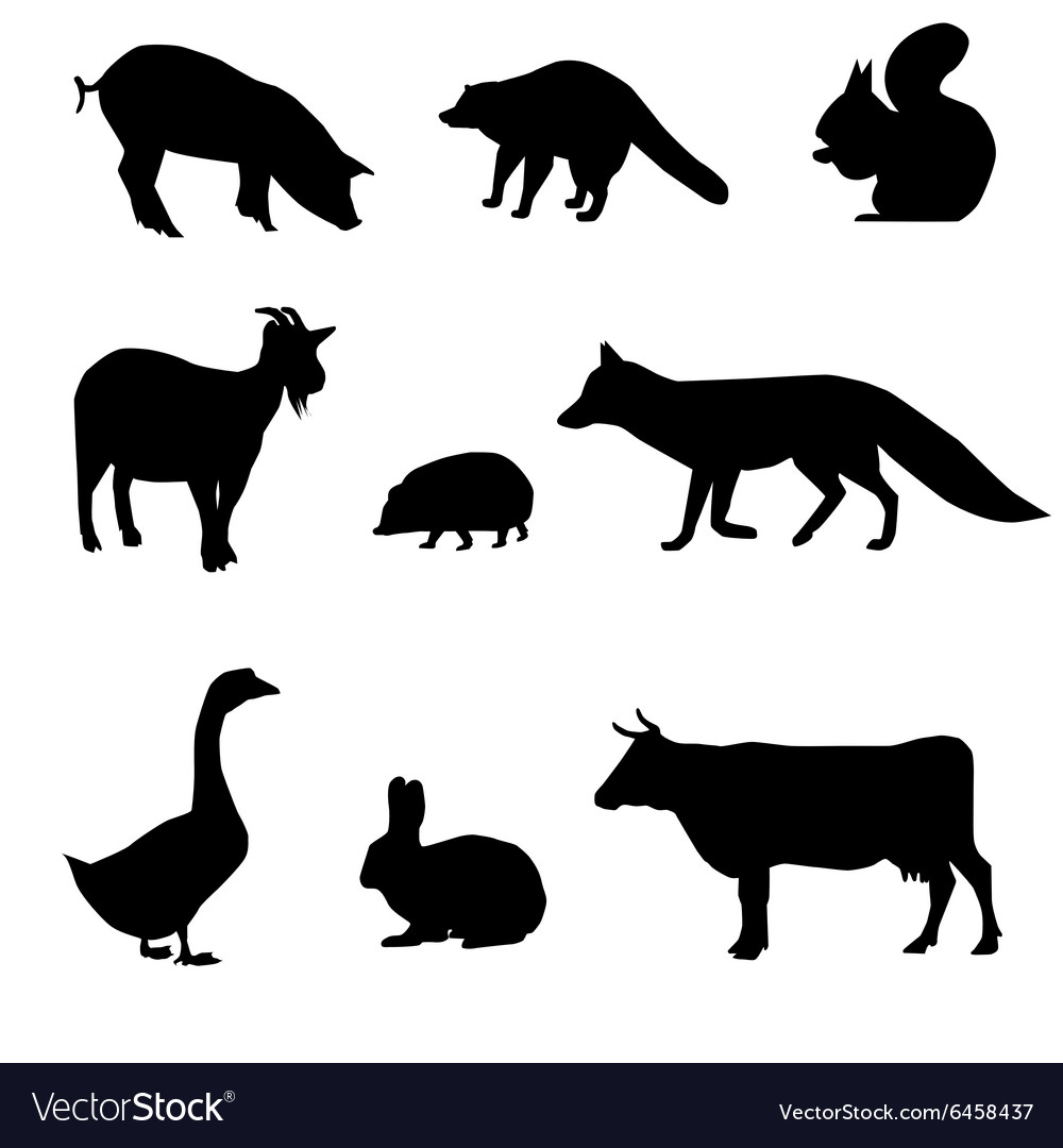 Animal Silhouettes