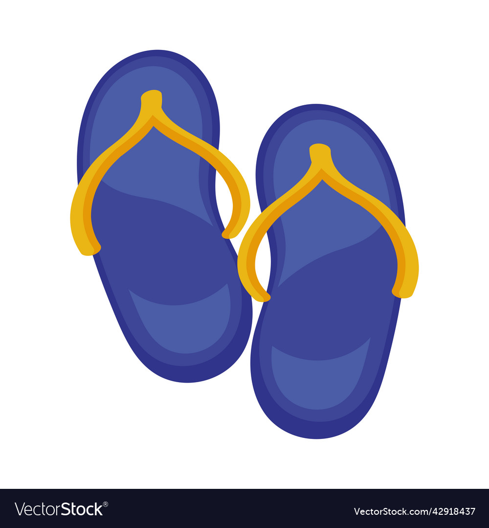 Blue flip flops Royalty Free Vector Image - VectorStock