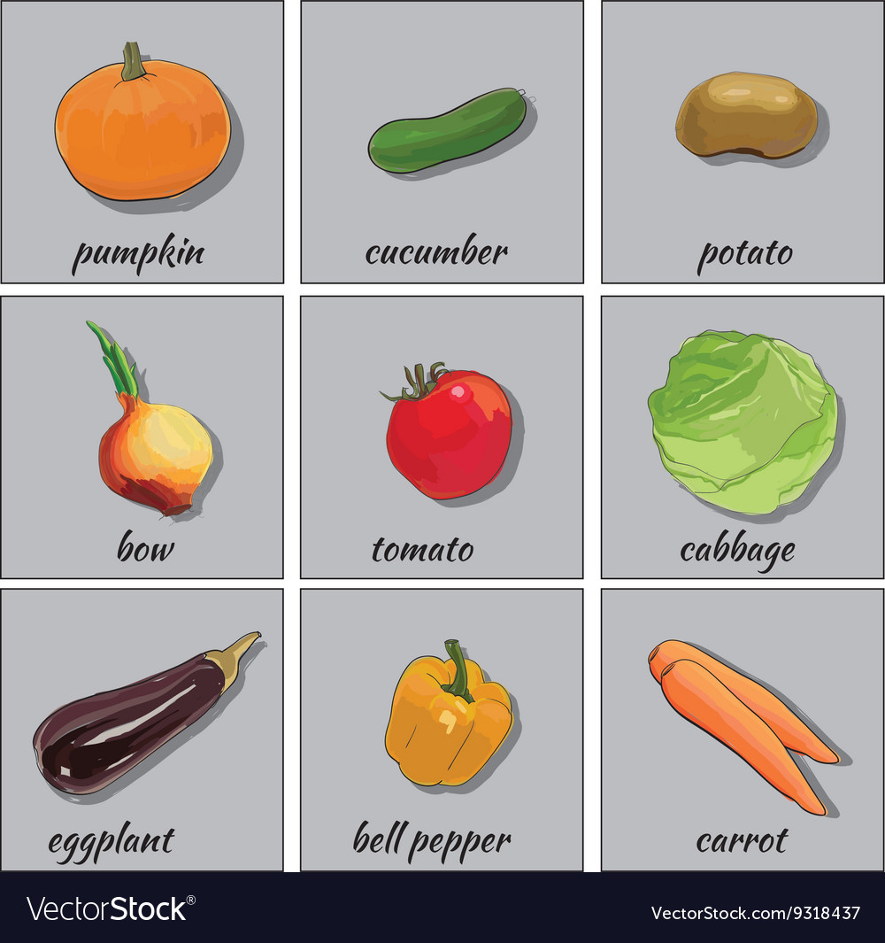 Hand drawn vegetables icon set for web flat icons