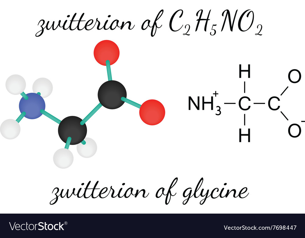 C2h5no2 zwitterion glycine amino acid molecule Vector Image