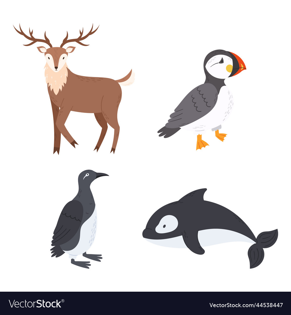 Mobileset of arctic animals reindeer atlantic Vector Image Mobileset of arctic animals reindeer atlantic Vector Image