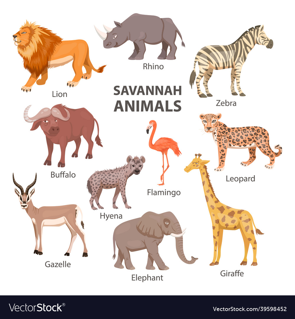 African savannah wild animal set lion rhino Vector Image